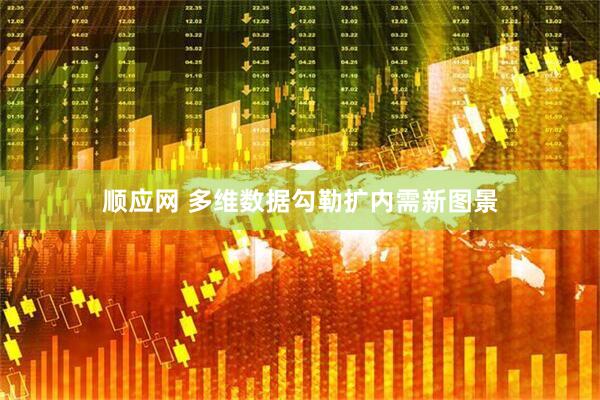 顺应网 多维数据勾勒扩内需新图景