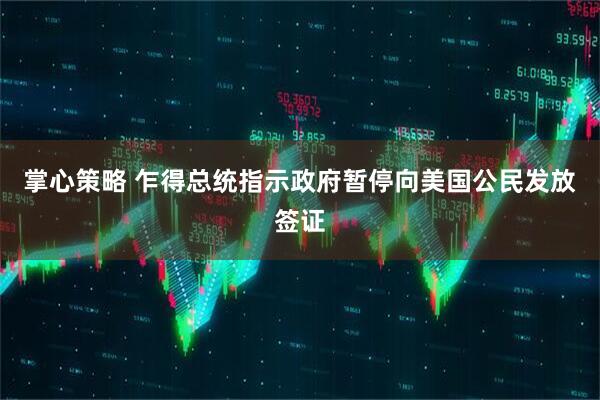 掌心策略 乍得总统指示政府暂停向美国公民发放签证