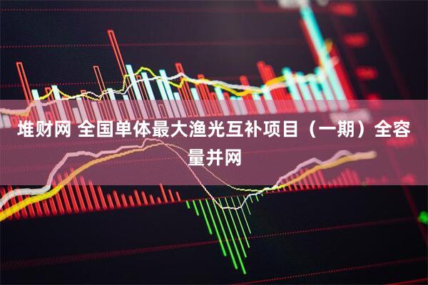 堆财网 全国单体最大渔光互补项目（一期）全容量并网