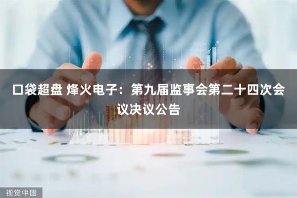 口袋超盘 烽火电子：第九届监事会第二十四次会议决议公告