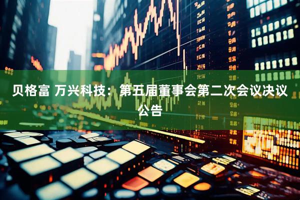 贝格富 万兴科技：第五届董事会第二次会议决议公告