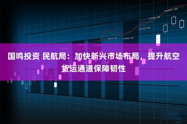 国鸣投资 民航局：加快新兴市场布局，提升航空货运通道保障韧性