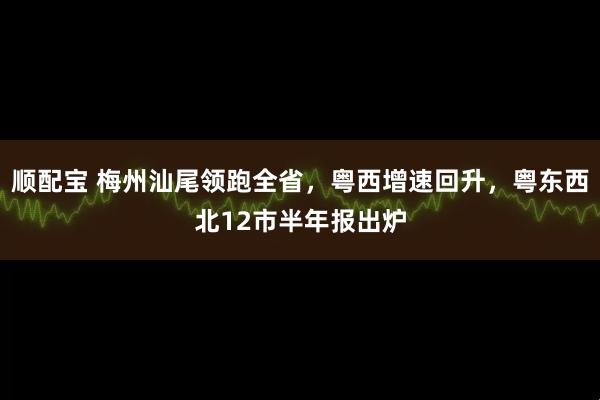 顺配宝 梅州汕尾领跑全省，粤西增速回升，粤东西北12市半年报出炉