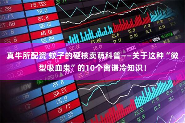 真牛所配资 蚊子的硬核卖萌科普——关于这种“微型吸血鬼”的10个离谱冷知识！