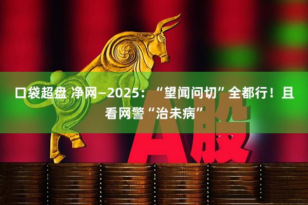 口袋超盘 净网—2025：“望闻问切”全都行！且看网警“治未病”