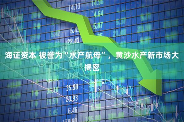海证资本 被誉为“水产航母”，黄沙水产新市场大揭密