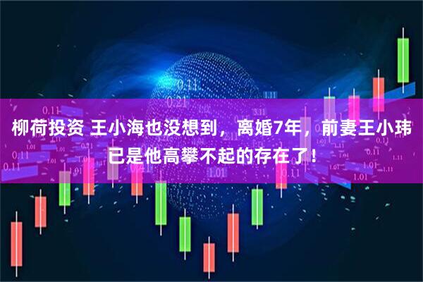 柳荷投资 王小海也没想到，离婚7年，前妻王小玮已是他高攀不起的存在了！