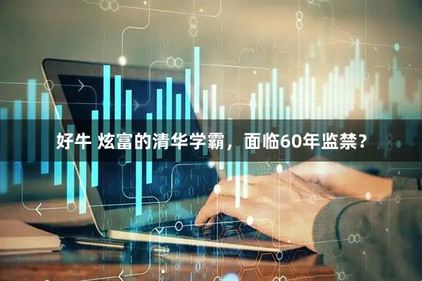 好牛 炫富的清华学霸，面临60年监禁？