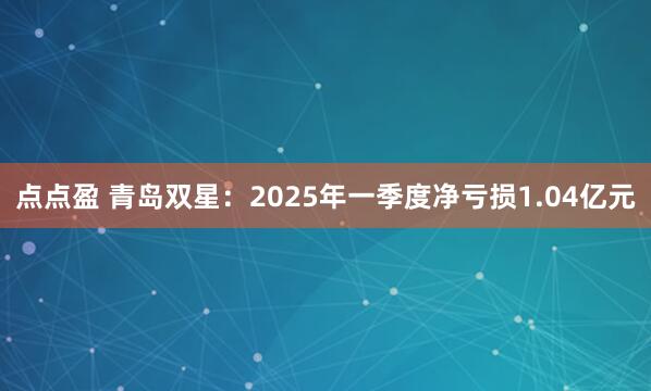 点点盈 青岛双星：2025年一季度净亏损1.04亿元