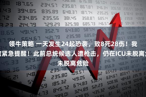 领牛策略 一天发生24起恐袭，致8死28伤！我使馆紧急提醒！此前总统候选人遭枪击，仍在ICU未脱离危险